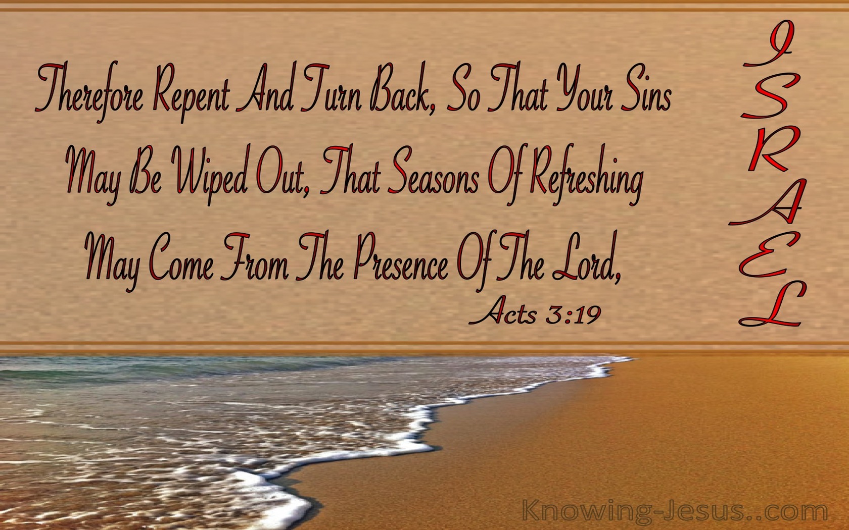 Acts 3:19 Repent So Your Sins Are Wiped Out (brown)